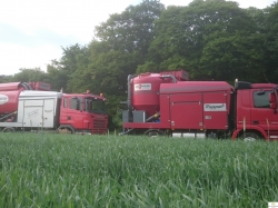 BILD (44)